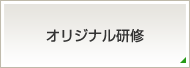オリジナル研修