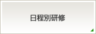 日程別研修