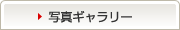 写真ギャラリー