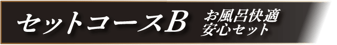 セットコースB お風呂快適安心セット
