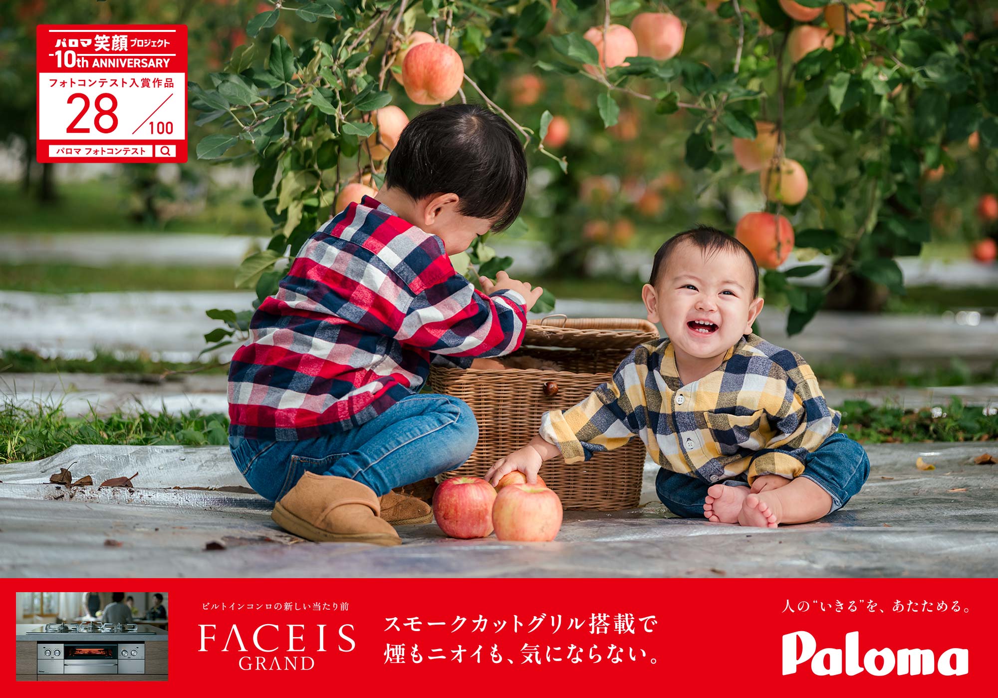 りんご取れたよー！