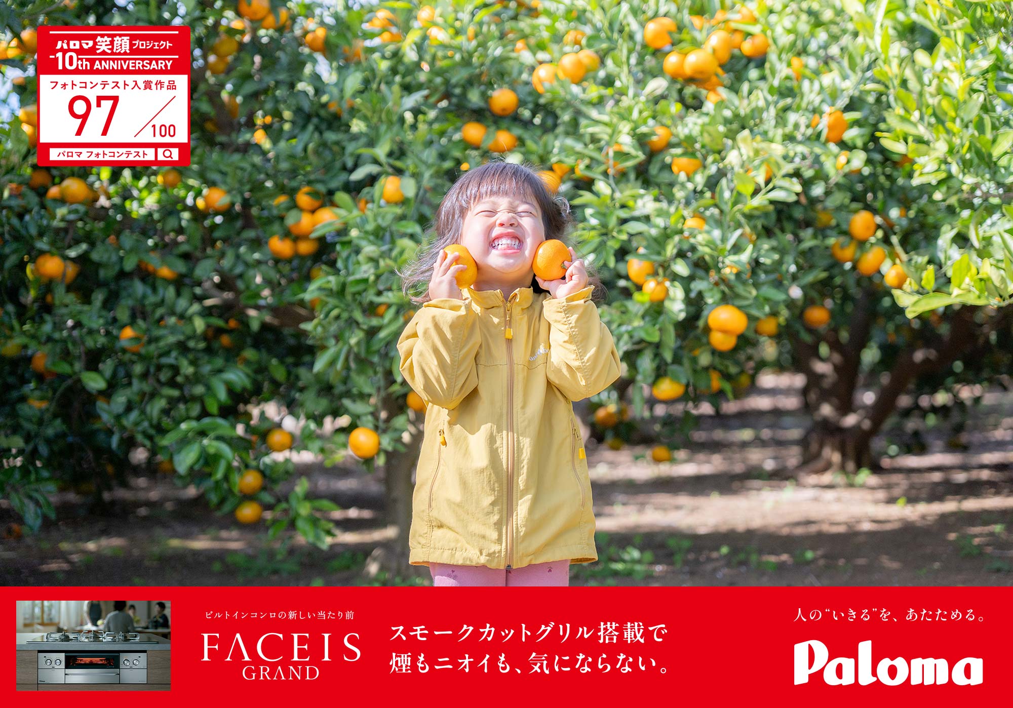 みかん狩り～