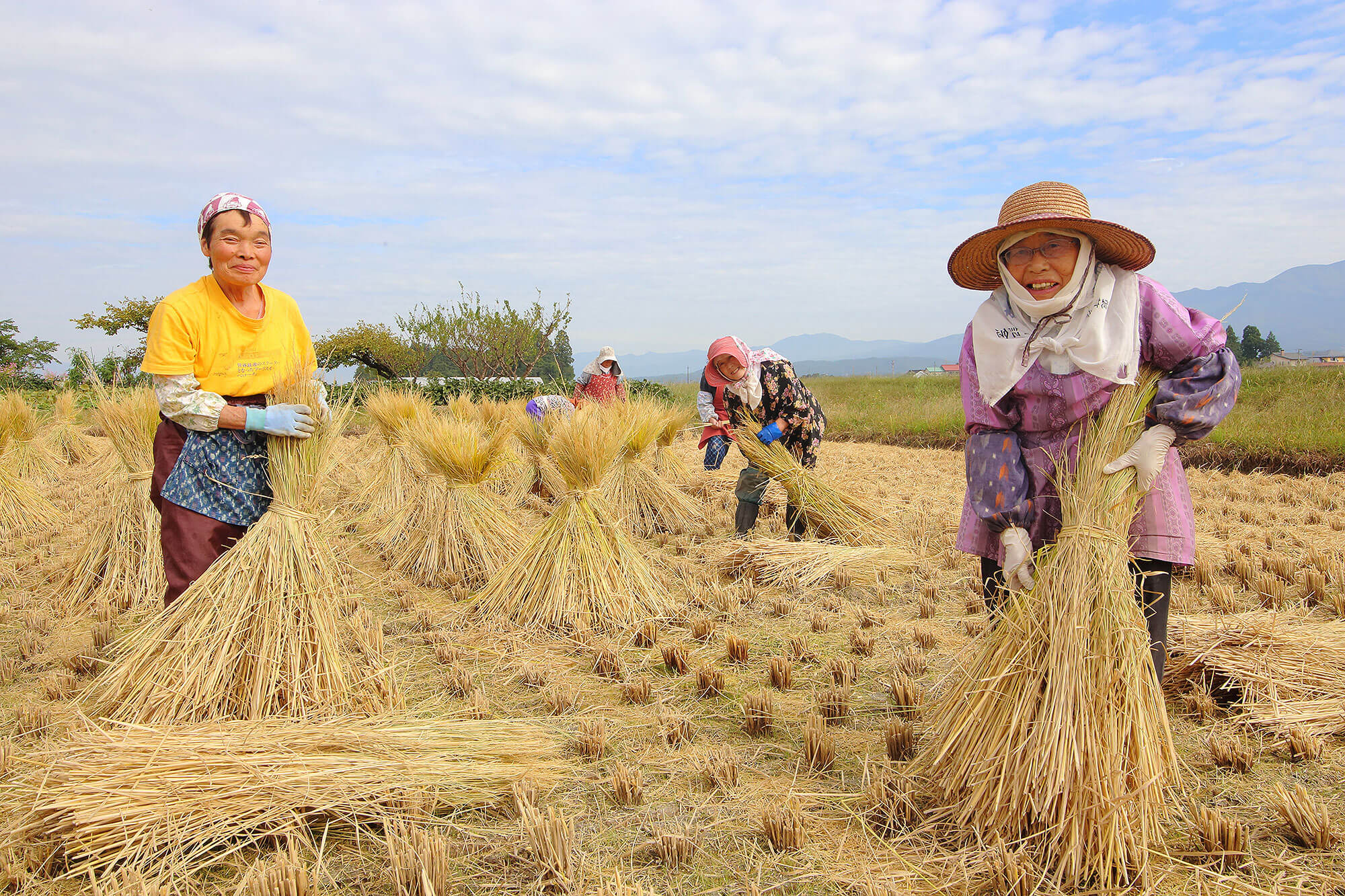 部落一同共同作業