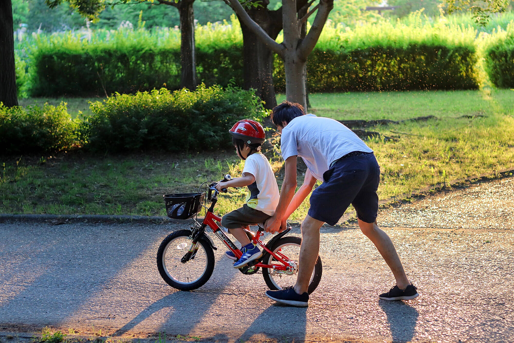 夕陽に照らされて