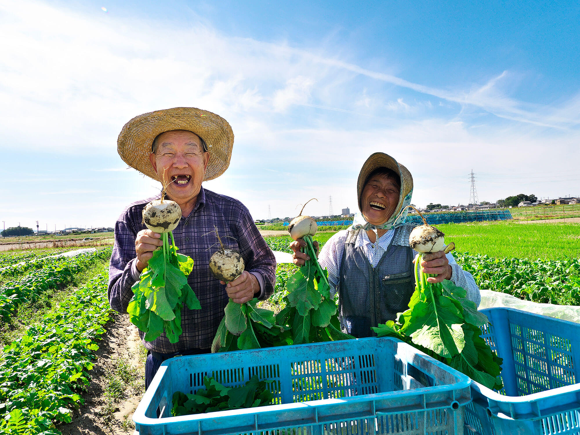 楽しいね、農作業