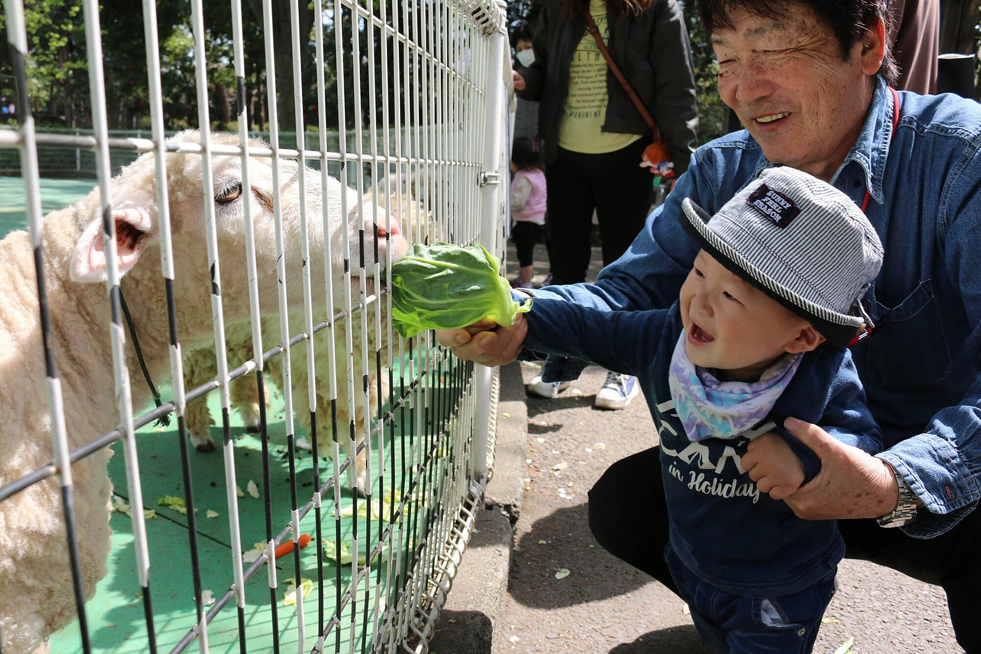 大好きなおじいちゃんと